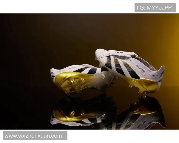 亿万身价的足球明星背后的故事与荣耀之路