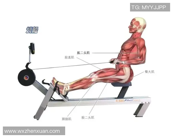 反手哑铃划船训练技巧与注意事项助你打造完美背部肌肉线条