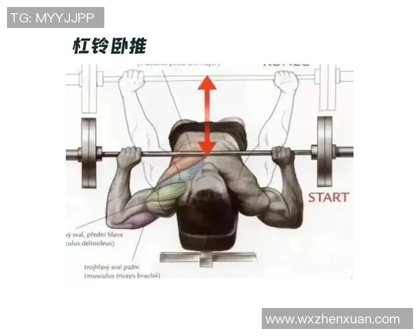 打造完美下胸肌的哑铃训练方法与技巧分享